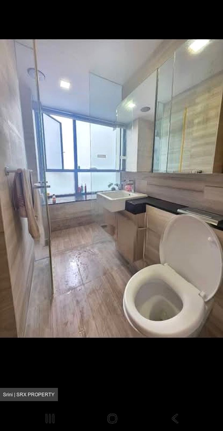Cityscape @ Farrer Park (D8), Condominium #577990841